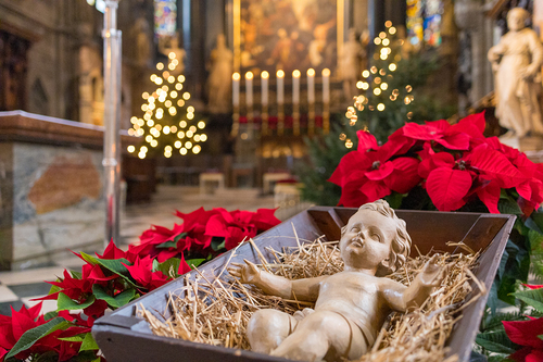 Weihnachtskkrippe mit Jesuskind im Stephansdom