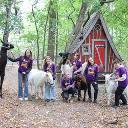 Dies & Das im Therapiehof Regenbogental